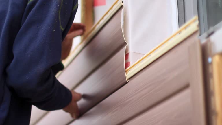 Best Hoarding Cleanup  in Boulder Hl, IL